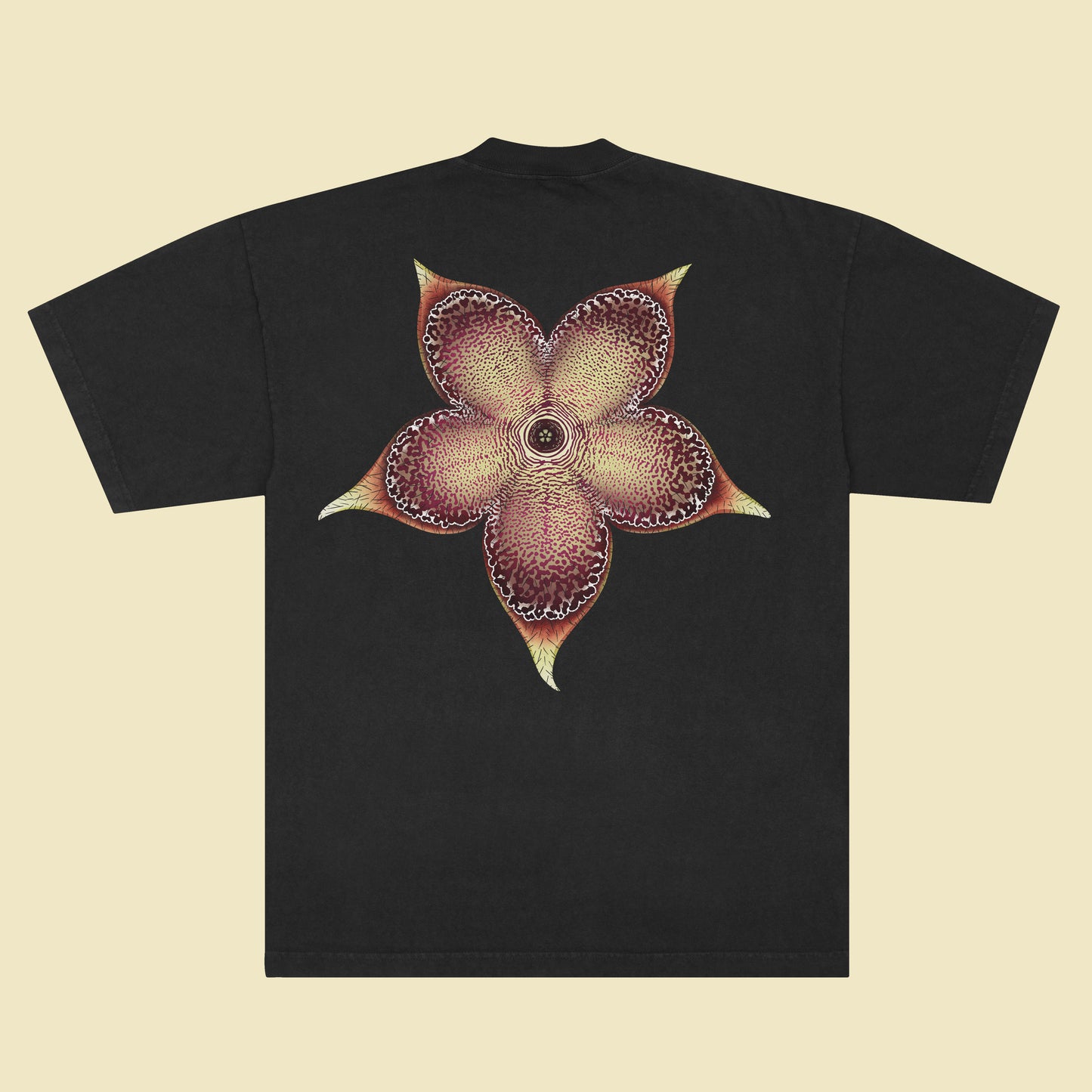 Edithcolea grandis - T-Shirt