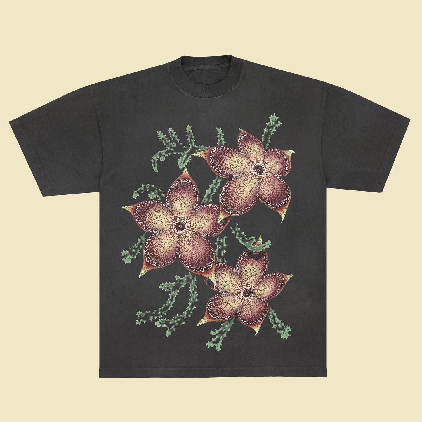 Edithcolea grandis - T-Shirt