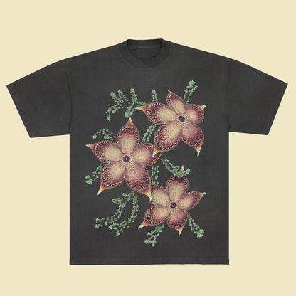 Edithcolea grandis - T-Shirt