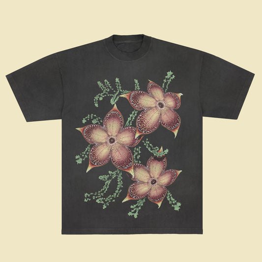 Edithcolea grandis - T-Shirt