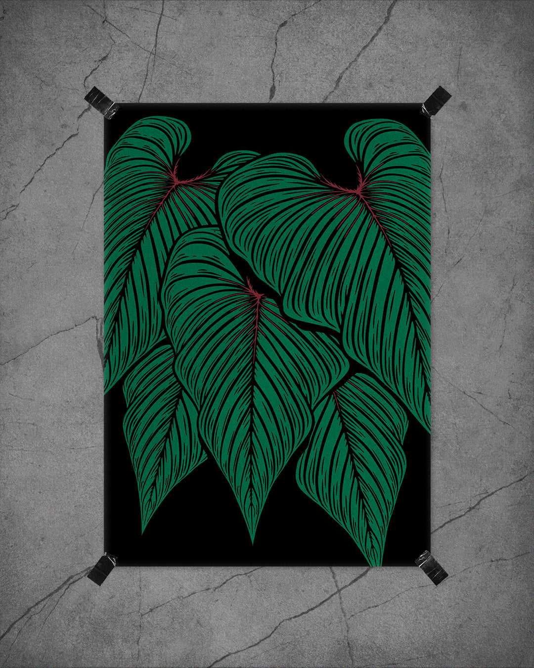 Philodendron squamicaule Fine Art Print