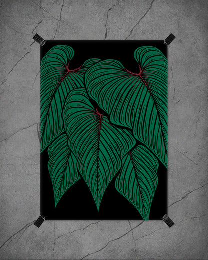 Philodendron squamicaule Fine Art Print