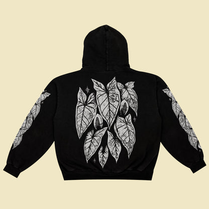 Syngonium metallum - Hoodie