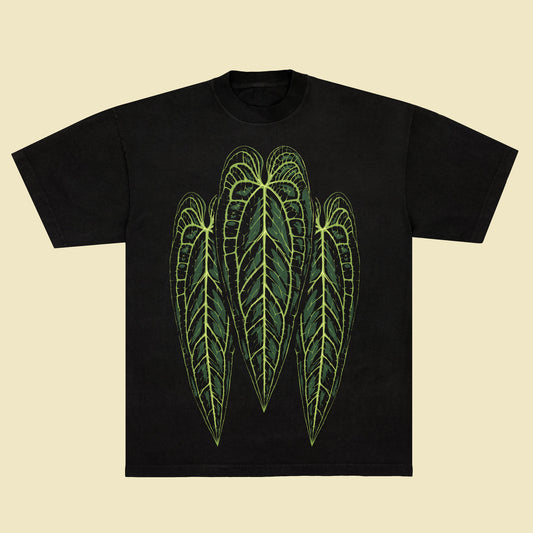Anthurium warocqueanum - Black T-Shirt