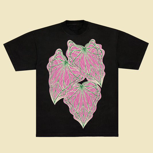 Caladium 'Thai Beauty' - Black Unisex T-Shirt