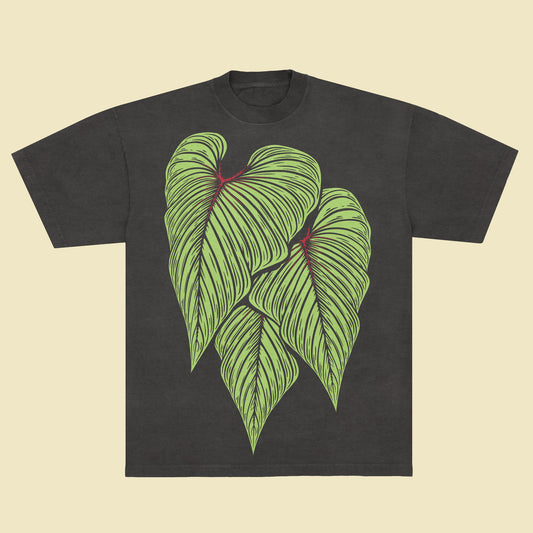 Philodendron squamicaule - Vintage Black T-Shirt