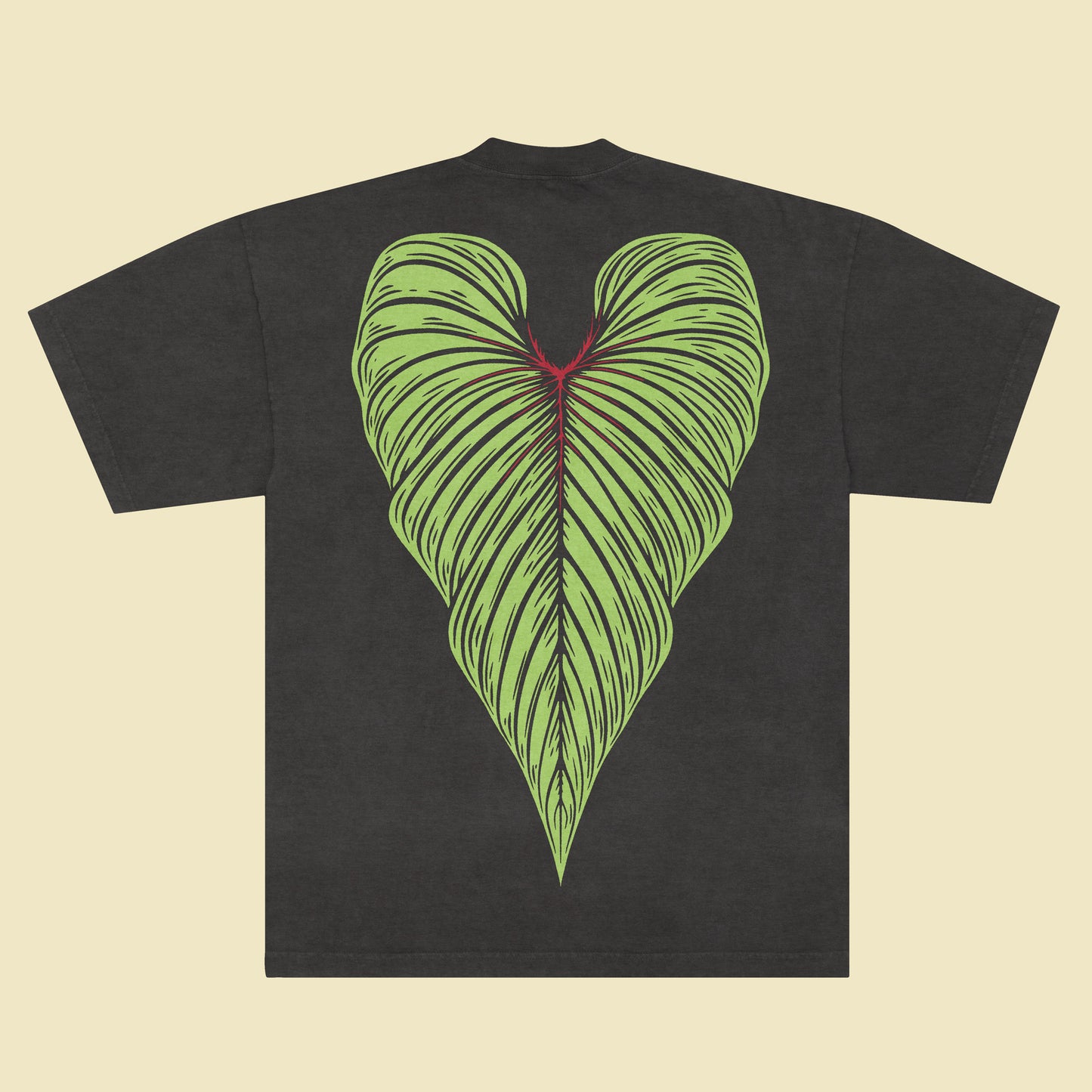 Philodendron squamicaule - Vintage Black T-Shirt