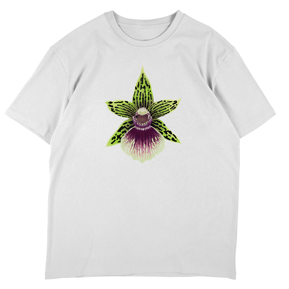 Galeopetalum Starburst 'Parkside'  - Off-White Oversize T-shirt