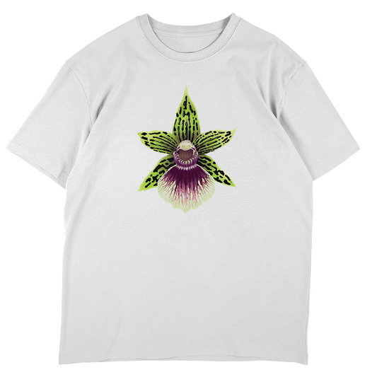 Galeopetalum Starburst 'Parkside'  - Off-White Oversize T-shirt