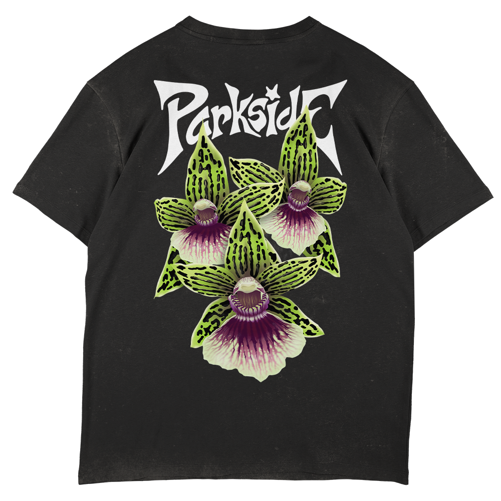 Galeopetalum Starburst 'Parkside'  - SW Black Oversize T-shirt