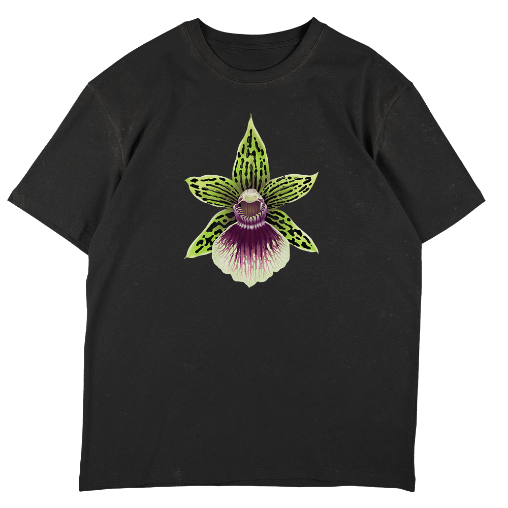 Galeopetalum Starburst 'Parkside'  - SW Black Oversize T-shirt