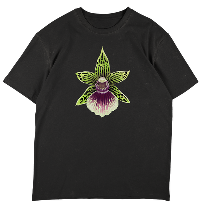 Galeopetalum Starburst 'Parkside'  - SW Black Oversize T-shirt