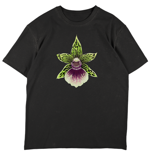 Galeopetalum Starburst 'Parkside'  - SW Black Oversize T-shirt
