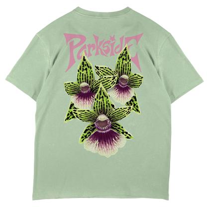 Galeopetalum Starburst 'Parkside'  - SW Green Oversize T-Shirt
