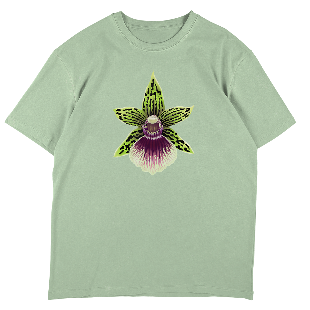 Galeopetalum Starburst 'Parkside'  - SW Green Oversize T-Shirt