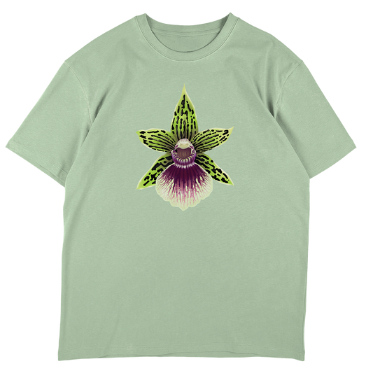 Galeopetalum Starburst 'Parkside'  - SW Green Oversize T-Shirt