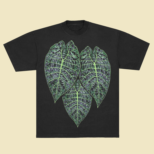 Alocasia watsoniana - T-Shirt