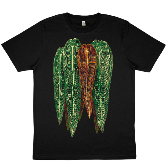 Anthurium Veitchii - Black Oversize T - Shirt - Tropics' Narcotics