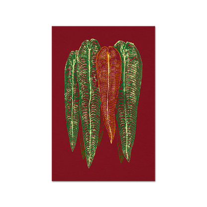 Anthurium veitchii Print Fine Art Print (Color variations) - Tropics' Narcotics