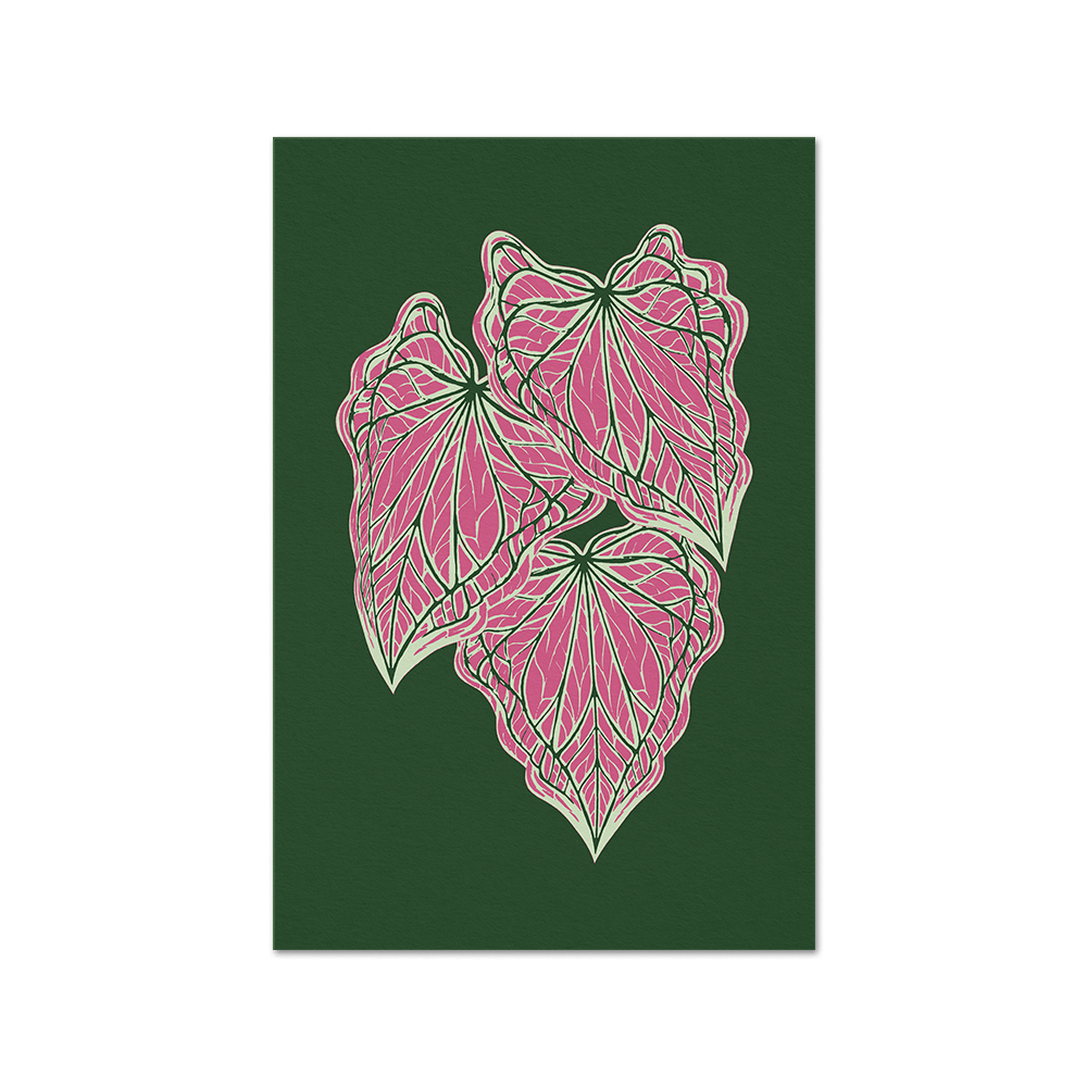 Caladium Thai Beauty Green Print Fine Art Print - Tropics' Narcotics