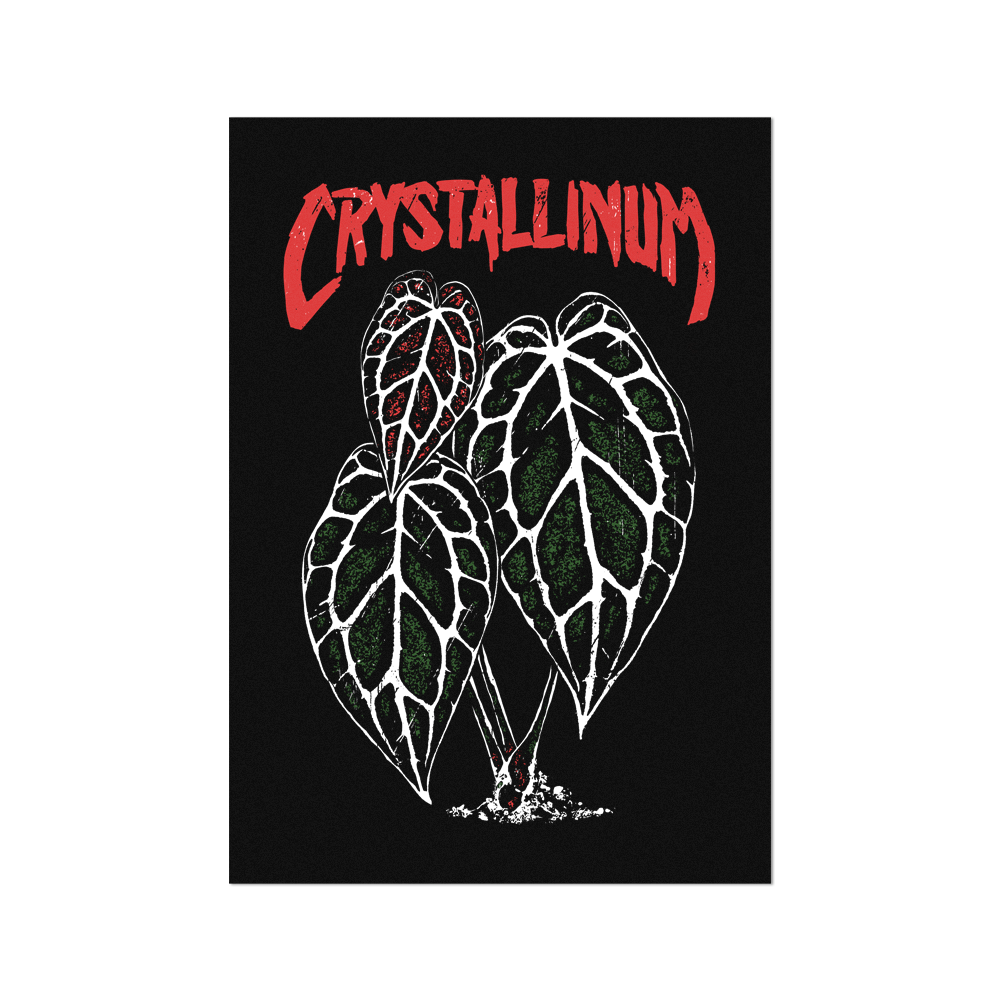 Crystallinum black Fine Art Print Tropics' Narcotics