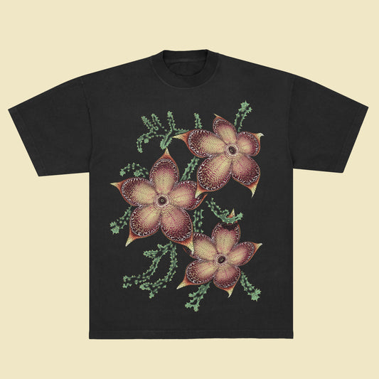 Edithcolea grandis - T-Shirt