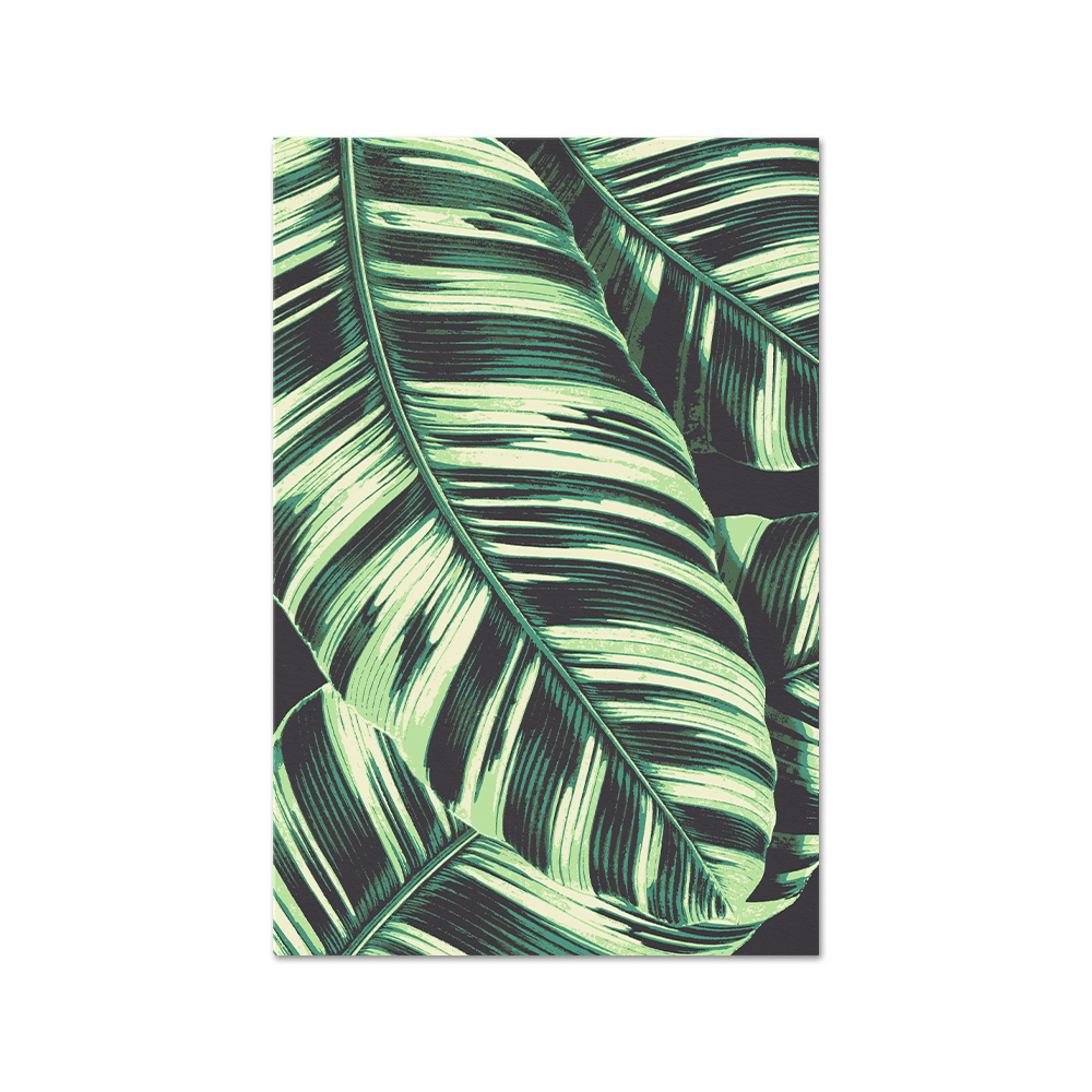 Musa Variegata (Banana) Print Fine Art Print - Tropics' Narcotics