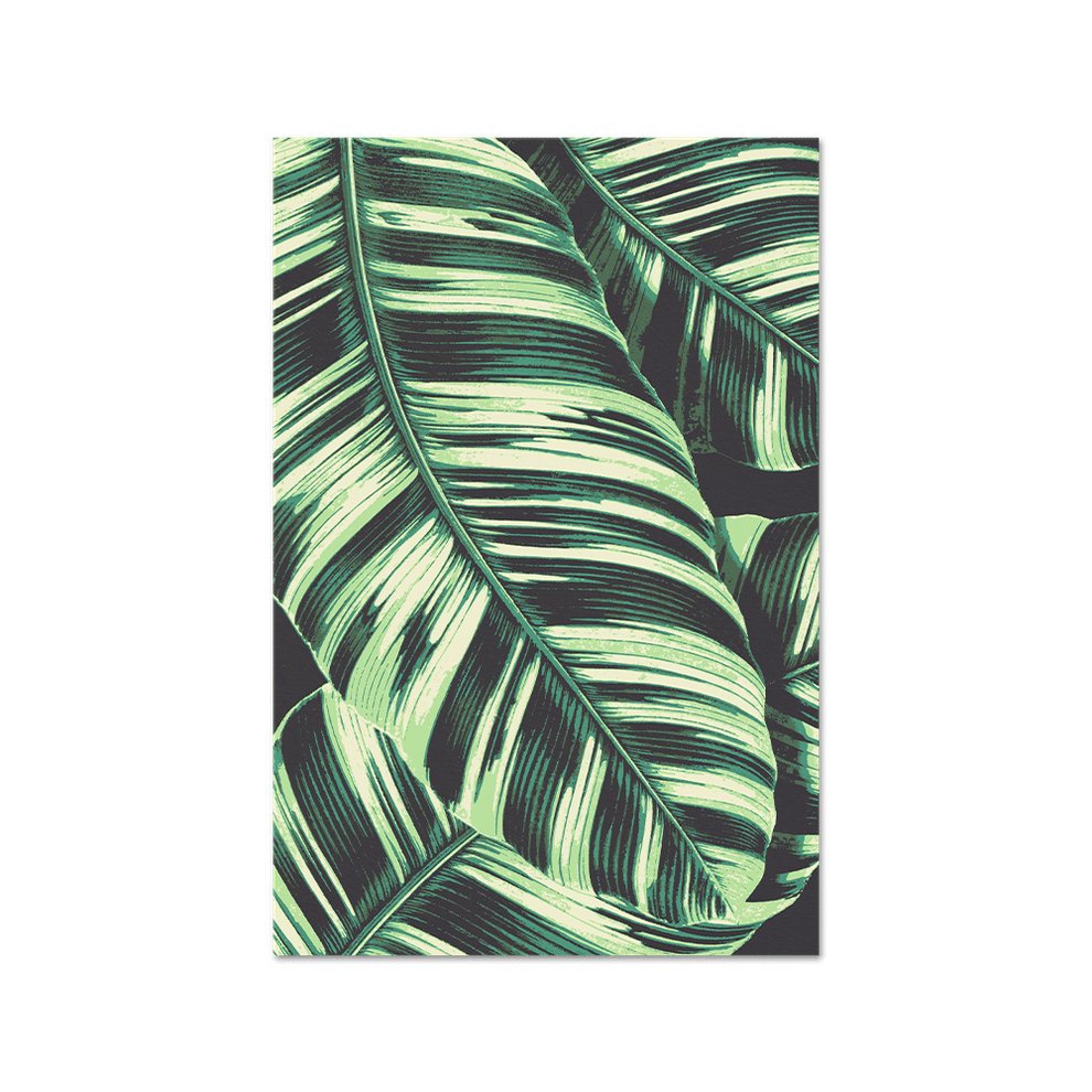 Musa Variegata (Banana) Print Fine Art Print – Tropics' Narcotics