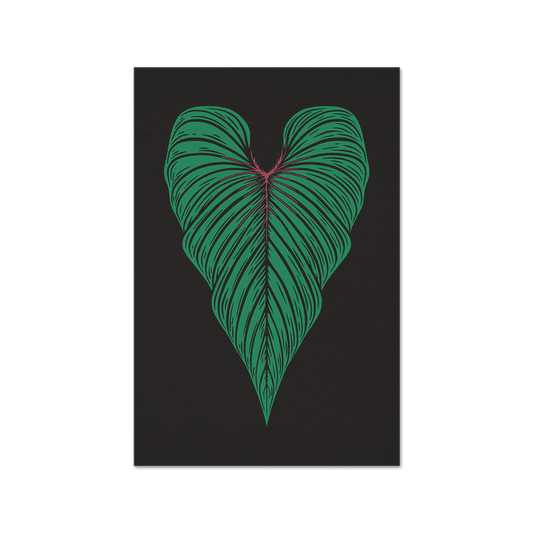 Philodendron Squamicaule Single Fine Art Print