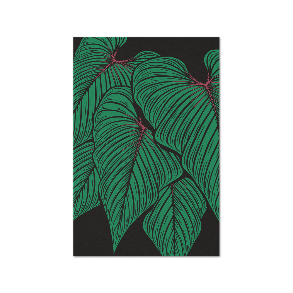 Philodendron squamicaule Fine Art Print