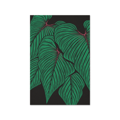 Philodendron squamicaule Fine Art Print