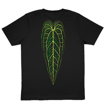 Anthurium Warocqueanum - Black Oversize T-Shirt