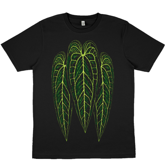 Anthurium Warocqueanum - Black Oversize T-Shirt