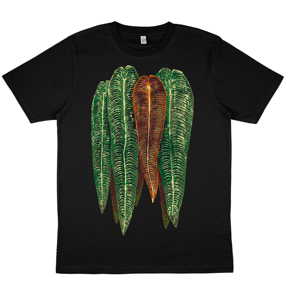 Anthurium Veitchii - Black Oversize T-Shirt